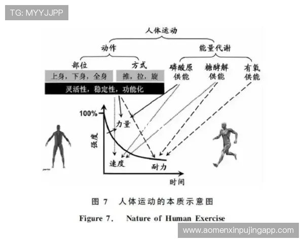 运动表现深度解码:基于数据与动作分析的竞技技术创新研究 运动表现深度解码:基于数据与动作分析的竞技技术创新研究